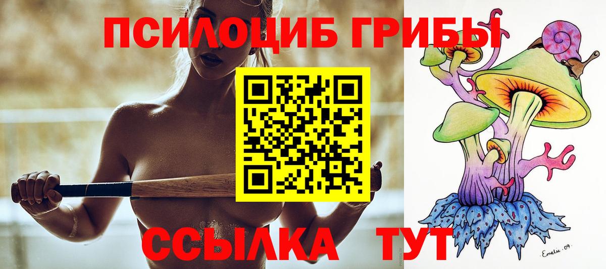 Галлюциногенные грибы Psilocybe Нерюнгри