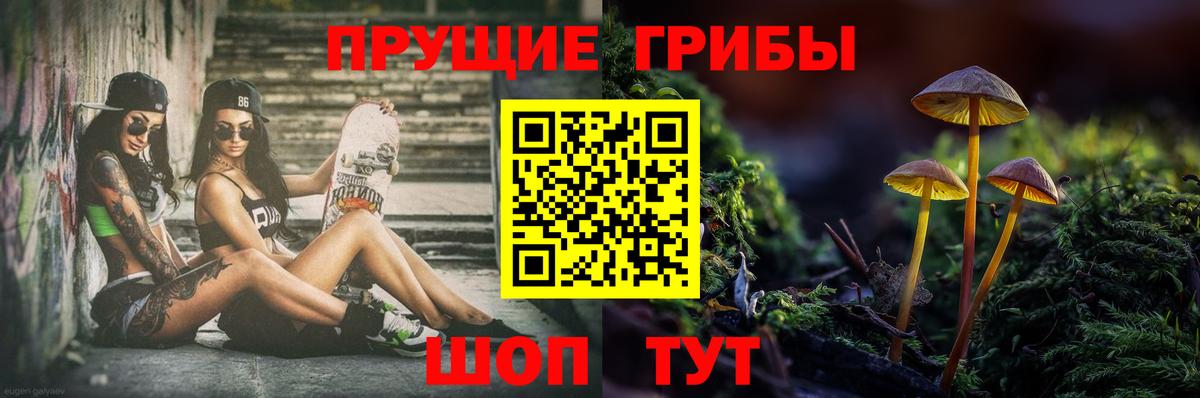 Галлюциногенные грибы мицелий  Вход с VPN  Галлюциногенные грибы ЛСД  где купить   Нерюнгри 